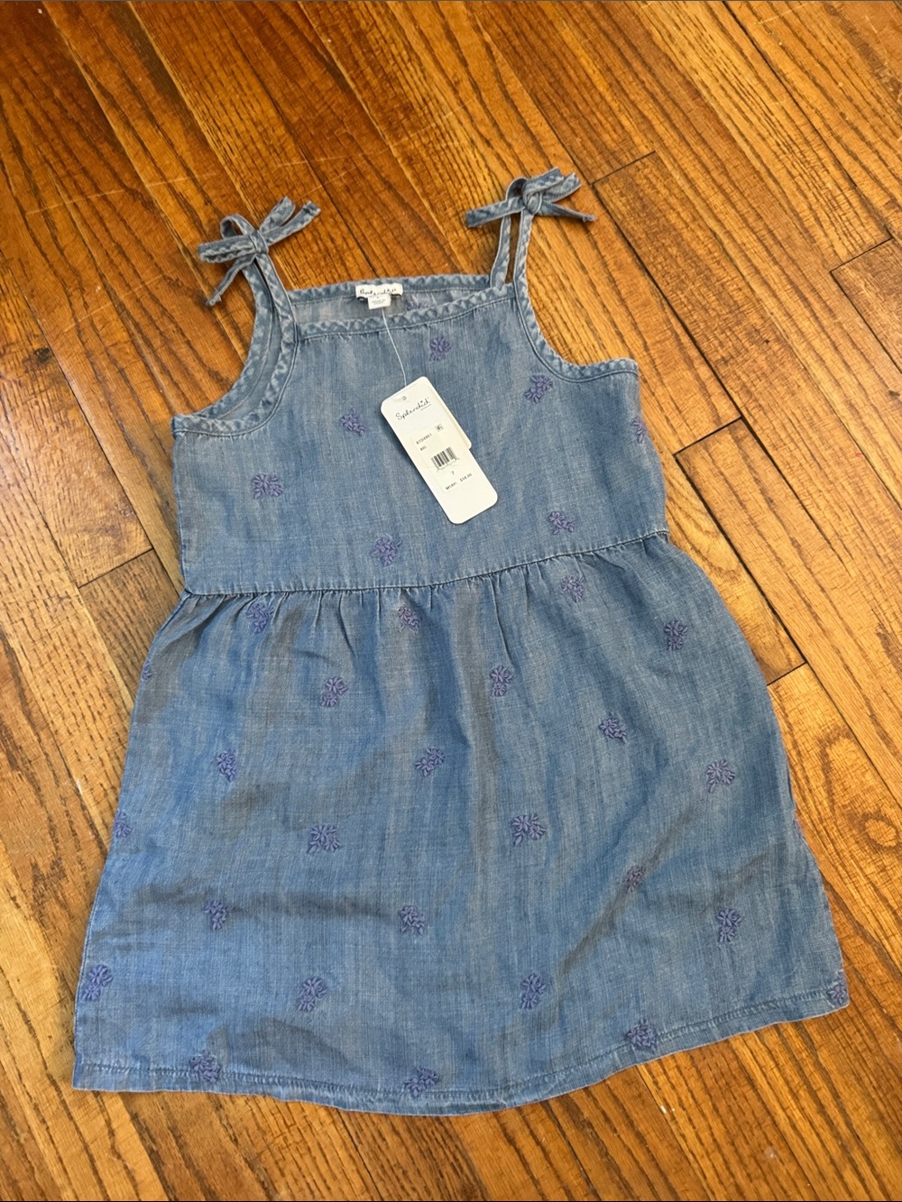 Splendid Blue Chambray Dress with Purple Embroidery